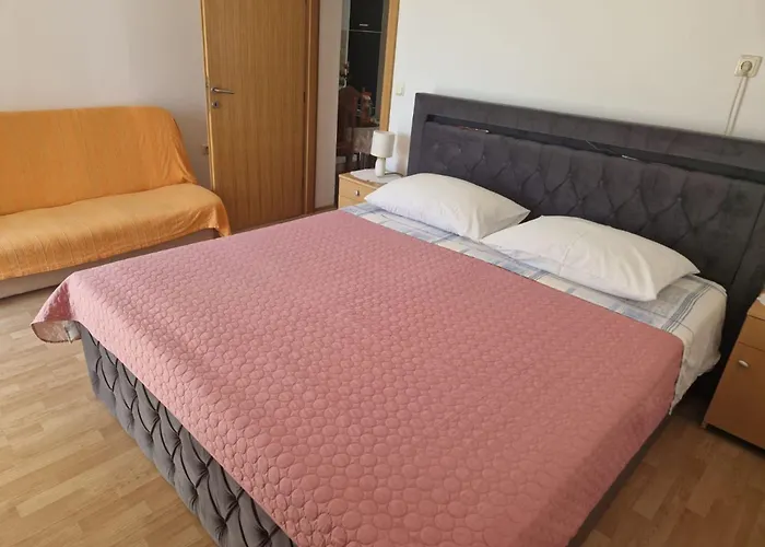 Bilic * 特罗吉尔